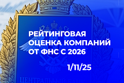 ФНС вводит систему рейтинговой оценки компаний с анализом 55 показателей с 1 января 2026 года